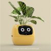 Smart Planter - Image 5