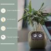 Smart Planter - Image 6