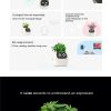 Smart Planter - Image 4