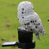 Solar Power Owl Light - Image 4