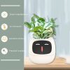 Smart Planter - Image 3