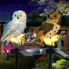 Solar Power Owl Light