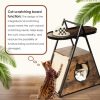 Cat House - Image 2